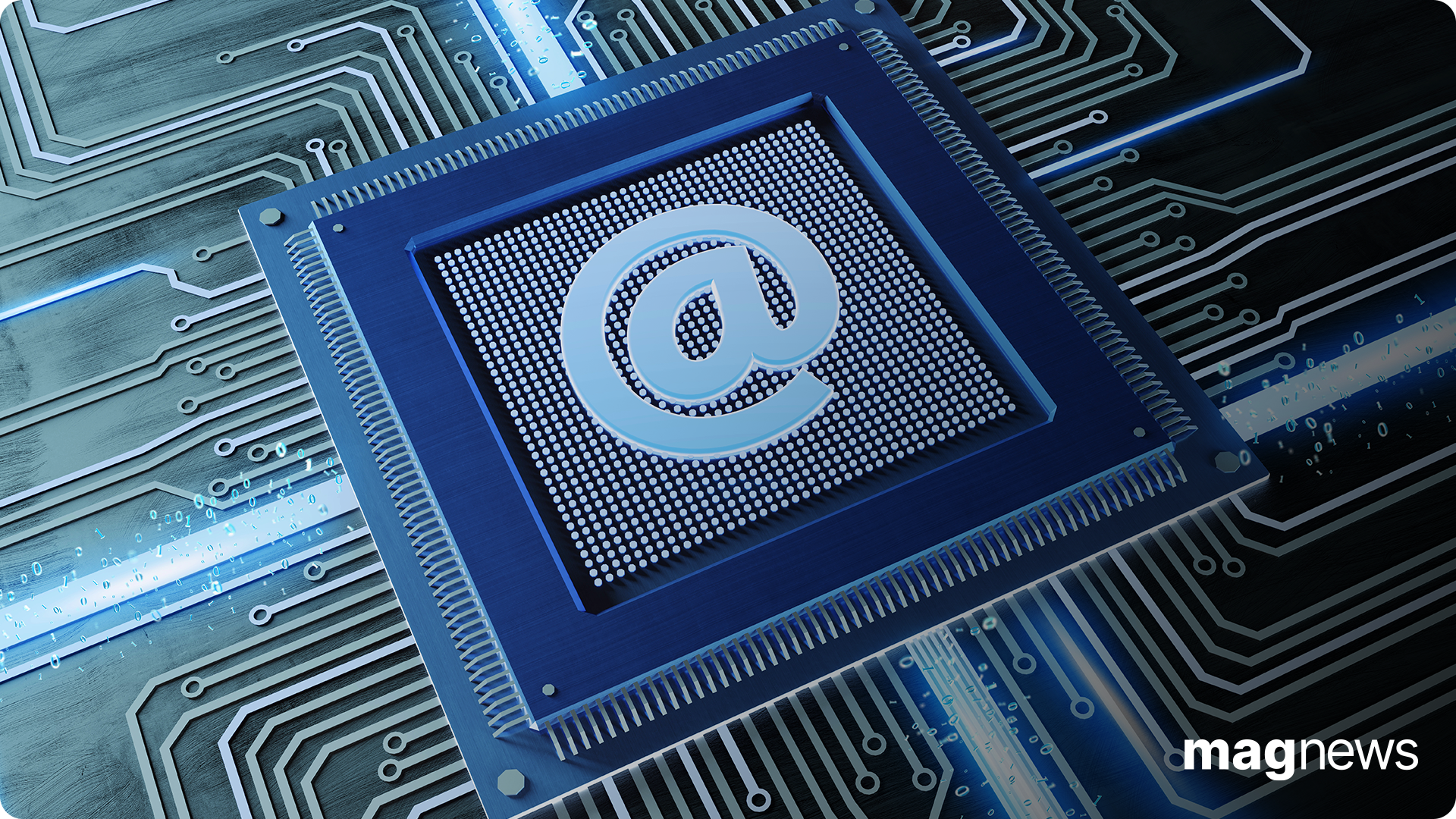 Privacy garante_preview.png